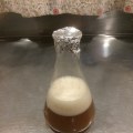 Popular Forums for Home Brewers