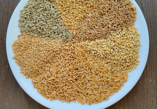 A Beginner's Guide to Understanding Different Types of Grains and Their Flavors