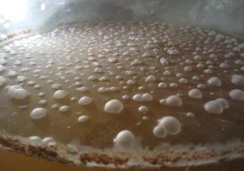 Steps to Salvage a Contaminated Brew