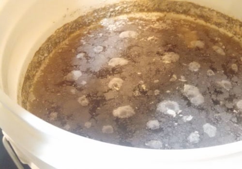 Understanding the Causes of Contamination in Home Brewing